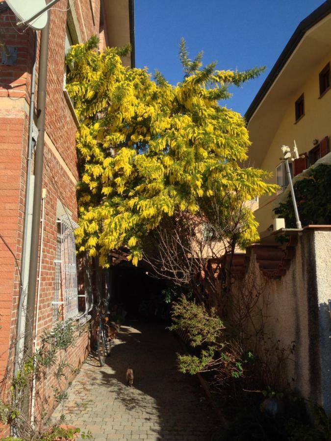 Ferienwohnung Casa Mimosa Viareggio Exterior foto